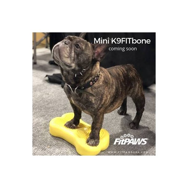 fitpaws bone